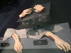 -上海电影博物馆
