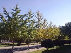 -东北大学(南湖校区)