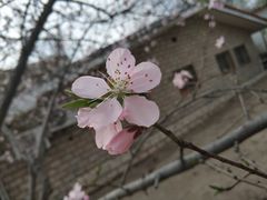 -方庄体育公园
