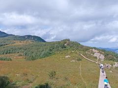 -白草畔自然风景区