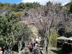 -南诏风情岛
