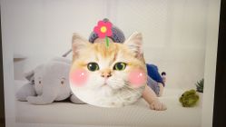 -星豆豆儿童摄影(南郊太白南路店)