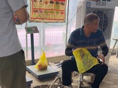 -马陆小张葡萄园农家乐