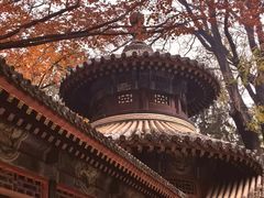 -好這口重庆小面(总店)