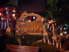 -清迈夜间动物园