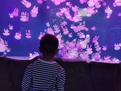 -石家庄极地海洋世界