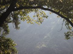 -东天目山风景区