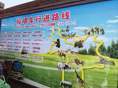 -上海野生动物园