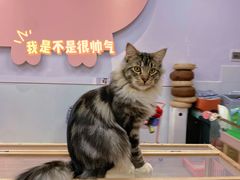-猪盟咖啡店(玖洲道店)