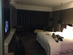 -南京禄口机场雅高铂尔曼大酒店
