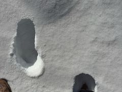 -灵山