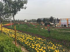 -骏途旅游