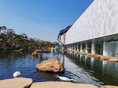 -罗红摄影艺术馆