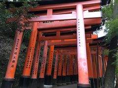 -名古屋城