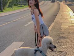 -中农国际动物医院24小时·猫科·骨科·急重症中心