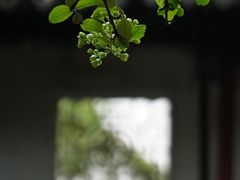 -沧浪亭
