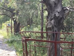 -锦屏山旅游度假区