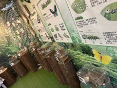 -宁波九龙湖开元度假村
