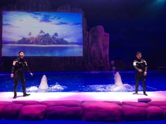 -华夏文旅海洋公园