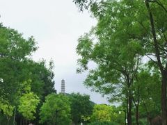 -北坞公园