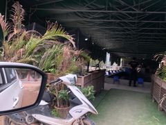 -会江钓鱼钓虾烧烤场