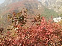 -狼牙山风景区