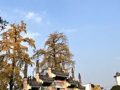 -老鼎万春卤菜(五代传承创始老店)