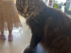 -平行世界·猫咖(首经贸店)