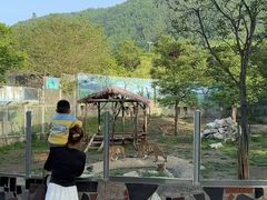 -西安秦岭野生动物园