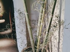 -黄山老妈·土菜(碧桂园店)