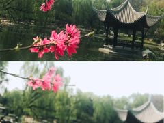 -陶然亭公园