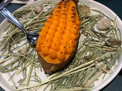 -鼎鼎西餐厅