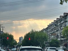 -振鼎鸡(丰庄路店)