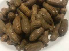-大萝卜烧烤羊蝎子烤全羊(新城河路店)