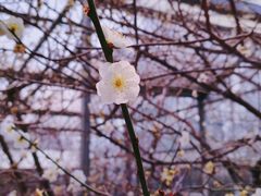 -北京鹫峰国家森林公园