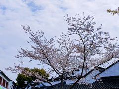 -寒山寺
