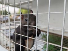 -南戴河国际娱乐中心