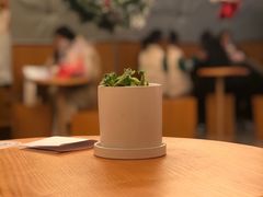 -代数学家algebraist(东吴龙湖天街店)