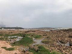 -青岛第二海水浴场