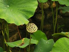 -长安上水缘度假庄园