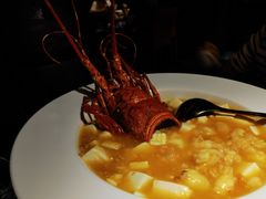 金汤龙虾海胆豆腐-小运河·公馆(国贸店)