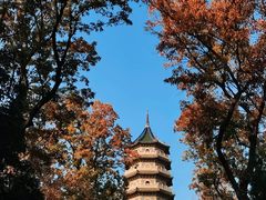 -灵谷景区