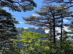 -黄山风景区