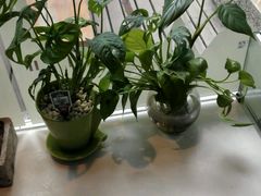 -美丽心情蛋糕(江苏路店)