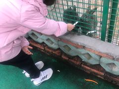 -同里湖度假村(二期店)