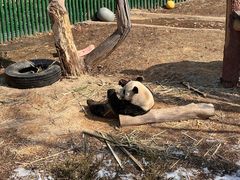 -沈阳森林动物园