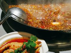 -吃城都·鱼蛙火锅(西玉龙街店)