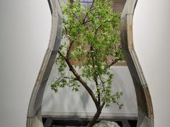 -南园(太仓市)