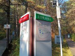 -帽儿山国家森林公园