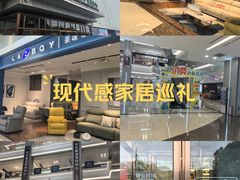 -红星美凯龙(浦江店)